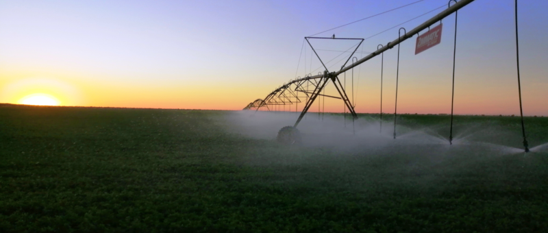 Irrigating Sudan’s alfalfa fields with solar power