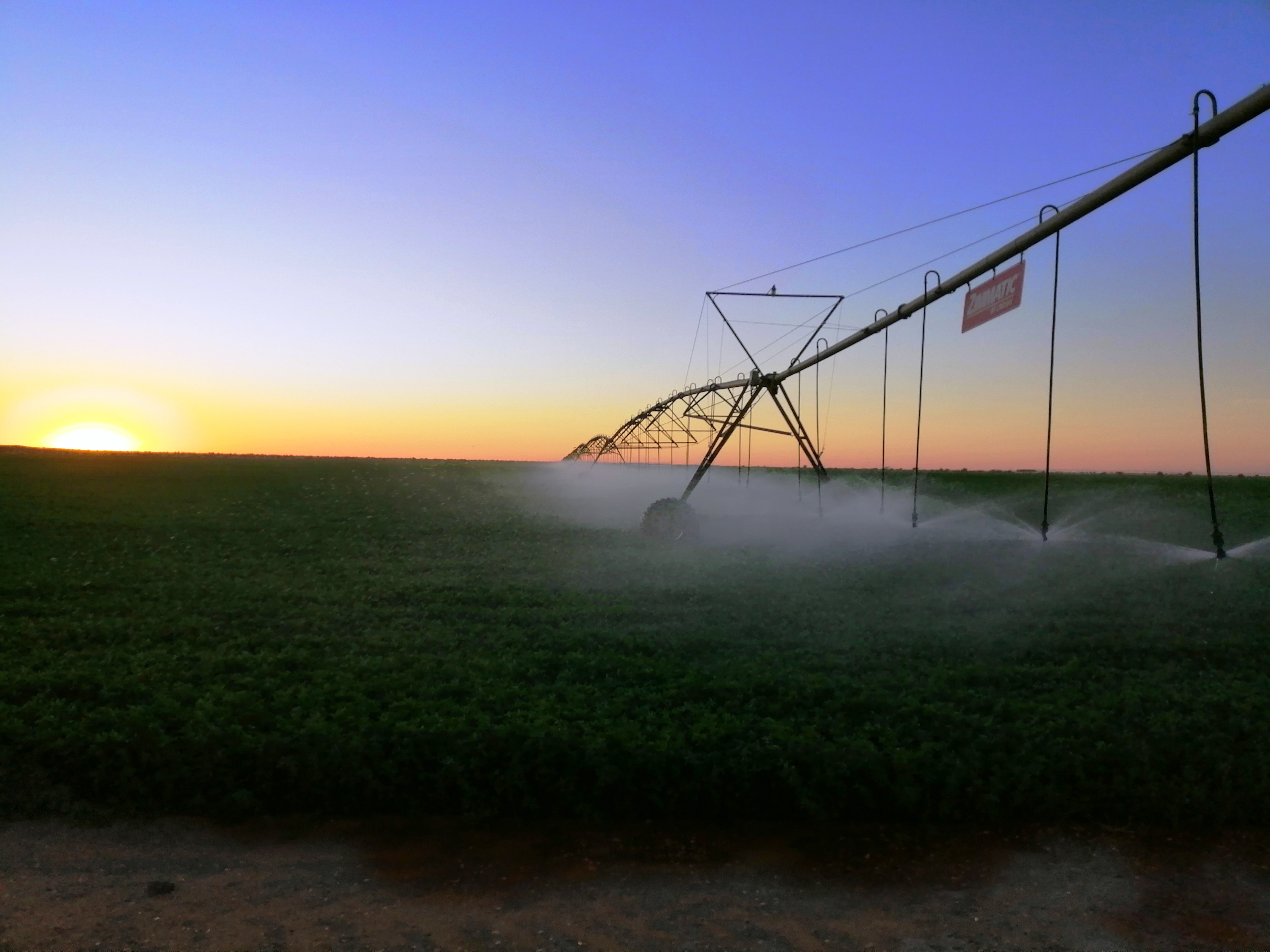 Irrigação dos campos de alfalfa do Sudão com energia solar