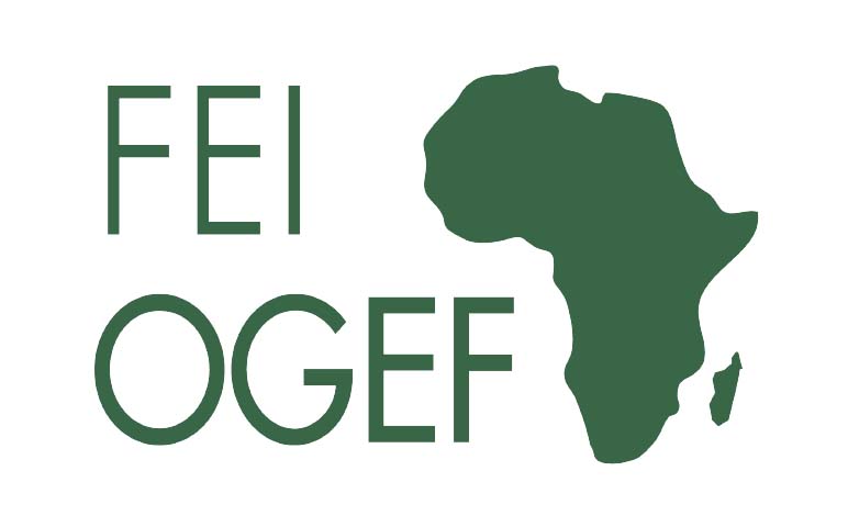 FEI OGEF