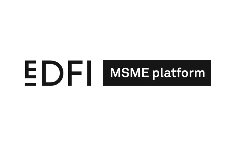 EDFI MSME