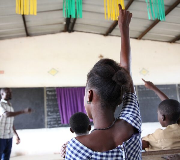 Das mini-redes a uma mini-internet para escolas zimbabuenses